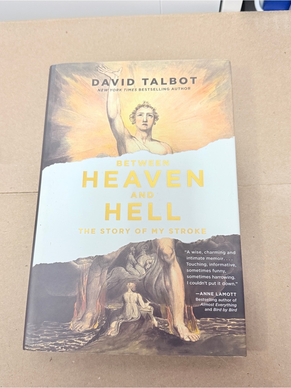 Between Heaven and Hell The story of my Stroke Book